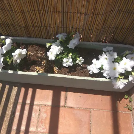 Apartamento Duplex Brisa Del Mar * Pineda de Mar